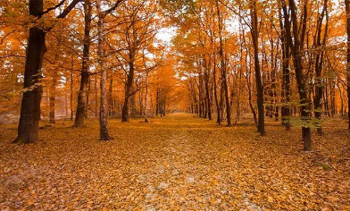 9月什么时候天气会冷(2020冬天39天气从什么时候)