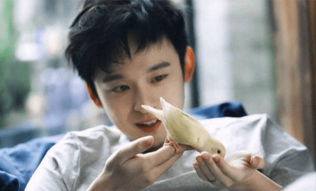 富二代人设明星(颜值逆天的富二代)