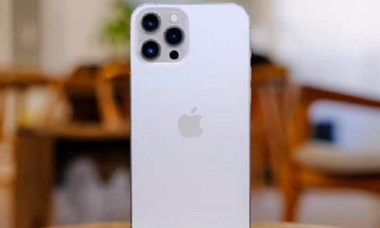 明星排场有必要那么大吗(明星排球)