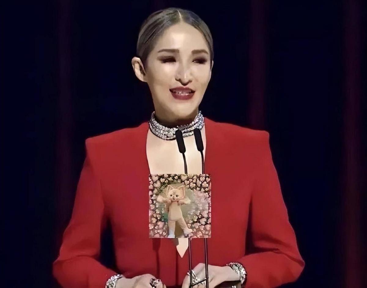 她再次回应化妆传闻,戳鼻子做猪鼻证明自己清白?