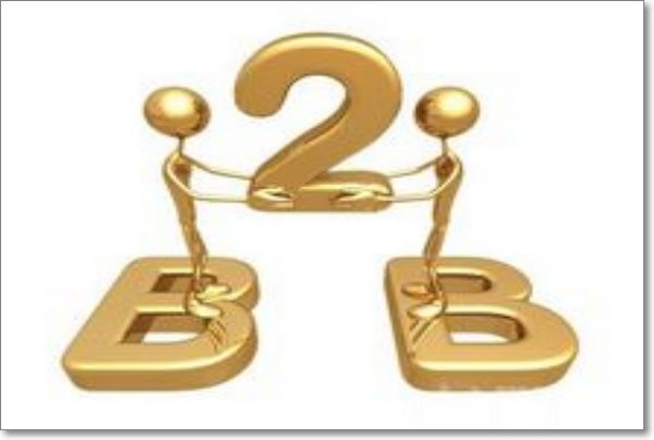 主要的B2B平台有哪些(什么叫b2b平台)
