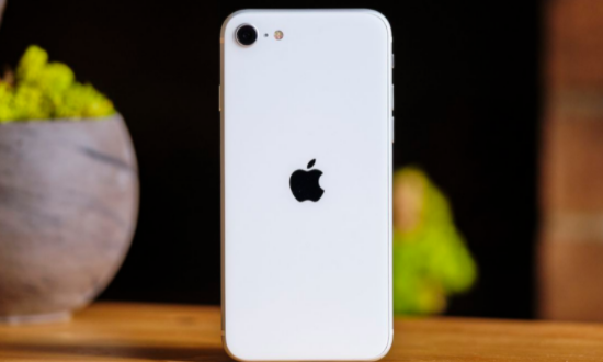 明星排场有必要那么大吗(明星排球)