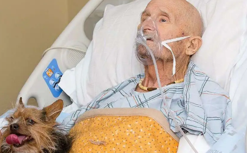 高龄老人临终前半个月的生理表现(老年痴呆临终前半个月的生理表现)