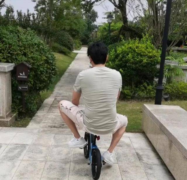 陆毅兄弟姐妹现状(陆毅胖成一个球)