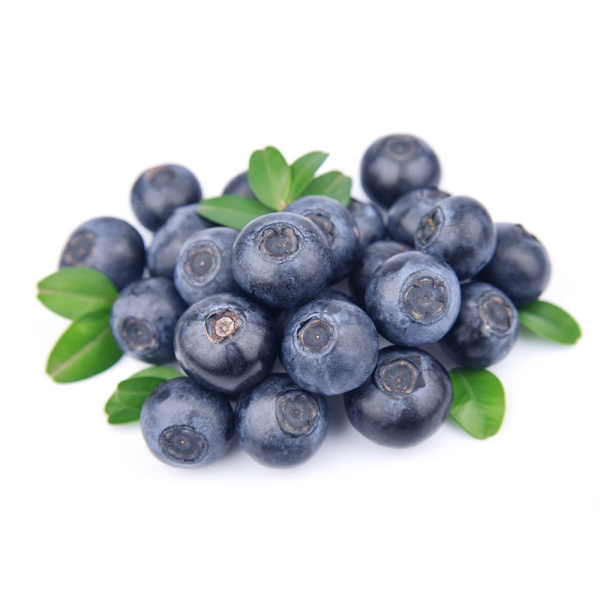 明星排场有必要那么大吗(明星排球)