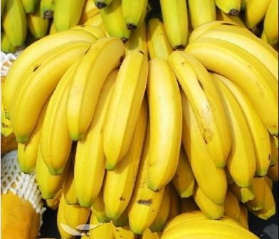 明星排场有必要那么大吗(明星排球)