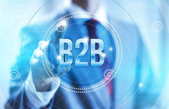 国外b2b网站有哪些(b2b网站排名)