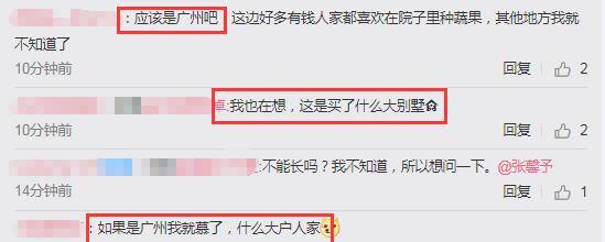 张茵过着田园般的生活,他的院子里种满了蔬菜和水果,超大的别墅暴露在外。