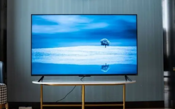 明星排场有必要那么大吗(明星排球)