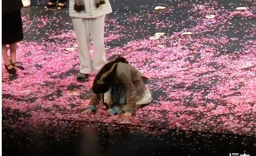 为什么说谢娜是坡姐(谢娜坡姐全部视频完整版)