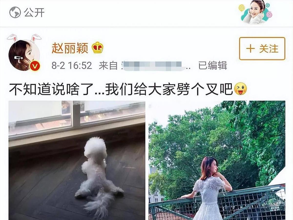 赵丽颖冯小刚离婚(冯丽颖离婚)