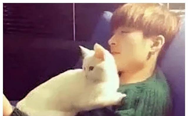 《美女暴击》刘亦菲：身价过亿，一件棉袄穿了十年，现在国籍有争议。