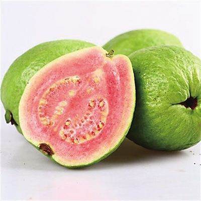 明星排场有必要那么大吗(明星排球)