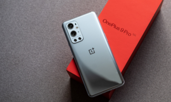 明星排场有必要那么大吗(明星排球)