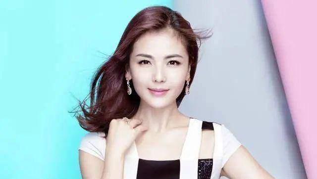 刘涛几个亿(刘涛一年挣几个亿如何做到的)