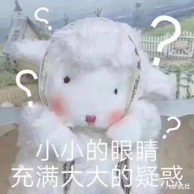 黄磊用心良苦！黄多多秀英文联健身，过度营销被吐槽！