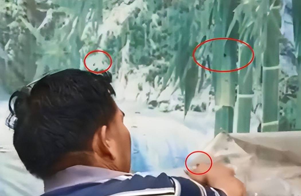 新媳妇,大衣哥忙着用破塑料布盖垃圾堆,满身大汗,头上苍蝇乱飞。