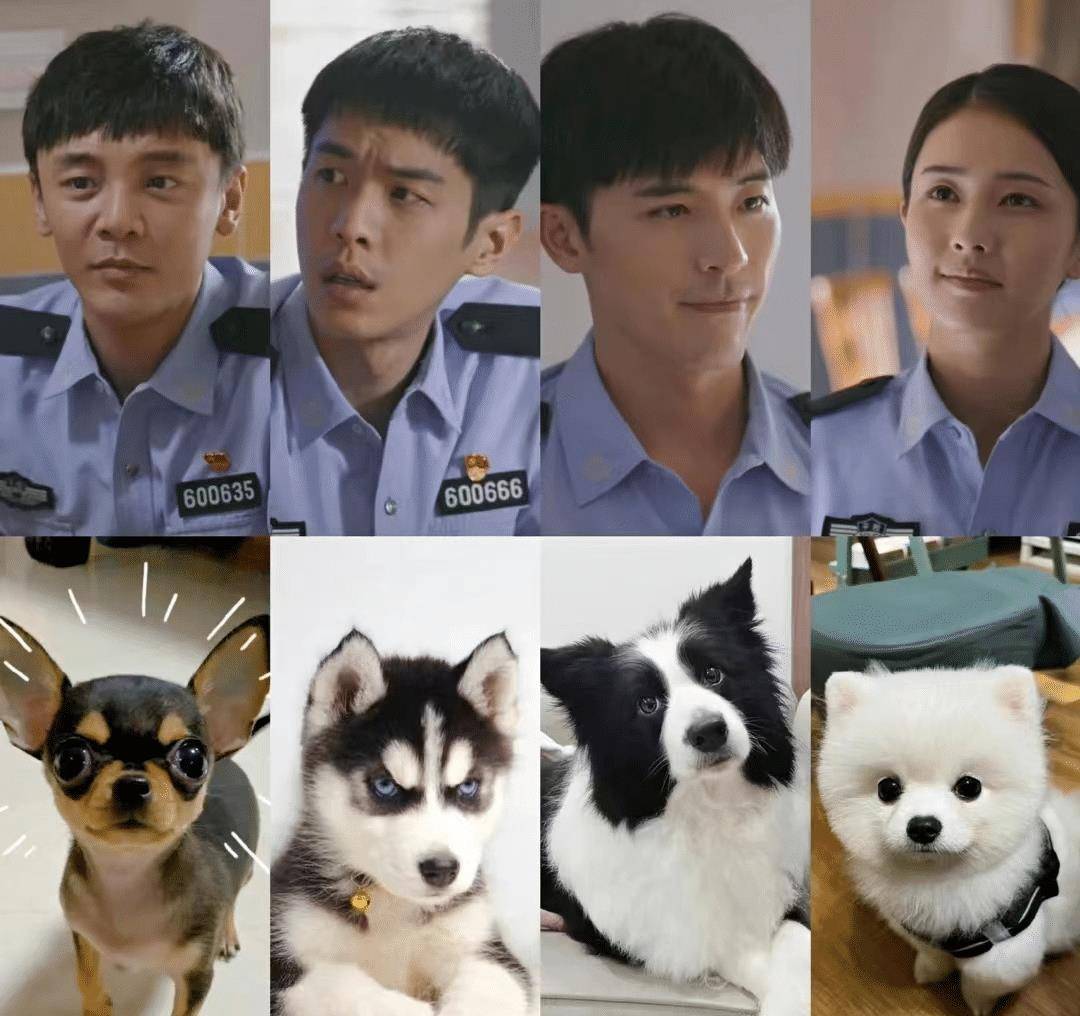 张若昀新剧《鸣龙少年》导演是《警察荣誉》，女演员是演技派！