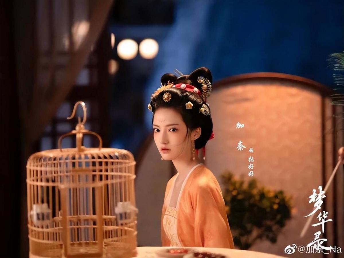 新疆女演员佳奈《梦华录》好漂亮!这就比刘的运更神奇了