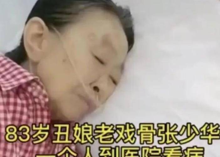 丑娘张少华人丑心更丑(丑娘张少华的年龄)