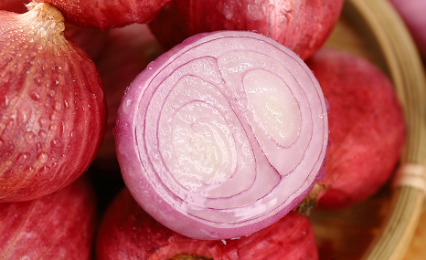 洋葱减肥?(洋葱减肥真的有效果吗)