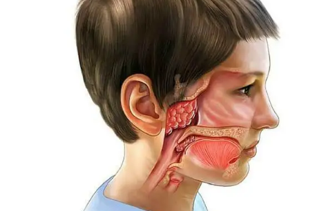 切除腺样体一定要切除扁桃体吗(腺样体和扁桃体切除是全部切掉吗)