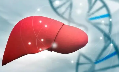 现在脂肪肝发病率很高(脂肪肝病厉害吗)