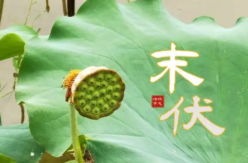 末伏后多久变凉快(2022三伏天什么时候开始)