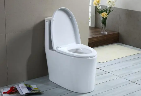 马桶里能倒沸水吗(开水能往马桶里倒吗图片)