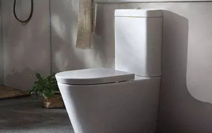 马桶里能倒沸水吗(开水能往马桶里倒吗图片)