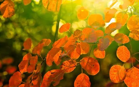 今年秋天比往年热(今年的夏天比去年热吗)