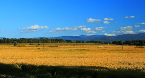 今年秋天比往年热(今年的夏天比去年热吗)