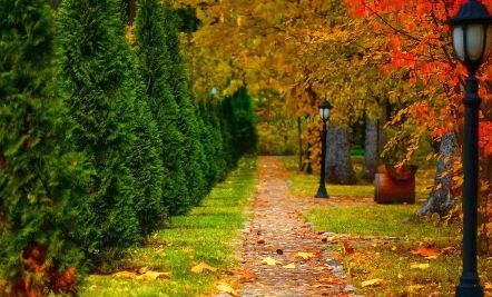 今年秋天比往年热(今年的夏天比去年热吗)