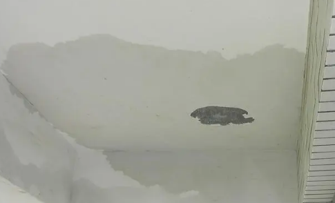 阳台有积水会不会漏到楼下(楼上阳台没有水但是楼下阳台漏水)