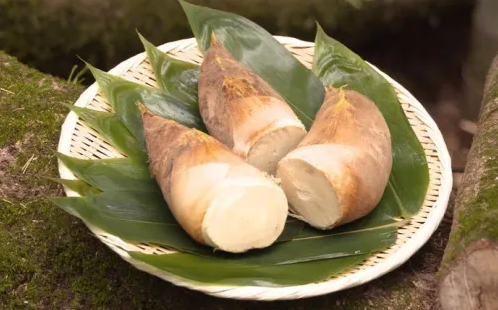 新鲜竹笋要煮多长时间(新鲜竹笋要焯完水泡多久)