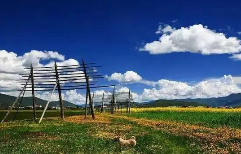 2021年国庆云南天气(云南夏天旅游热不热)