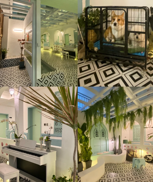 两个人去丽江5000够吗(两个人去丽江5000够吗六月份)