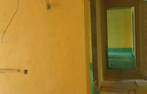 墙固和界面剂哪个好又便宜(墙固和界面剂哪个好)