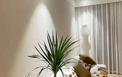 住着人的房子想刷墙(家里刷墙能住人吗)