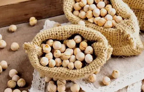 鹰嘴豆可以减肥(减肥可以吃鹰嘴豆)