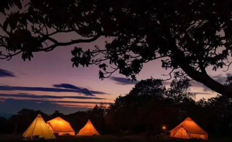 夏天去海边露营冷吗2022奥运会(冬天适合去露营吗)