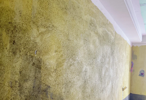 墙面拉毛用108胶还是用墙固(墙面拉毛用108胶还是拉毛墙固)