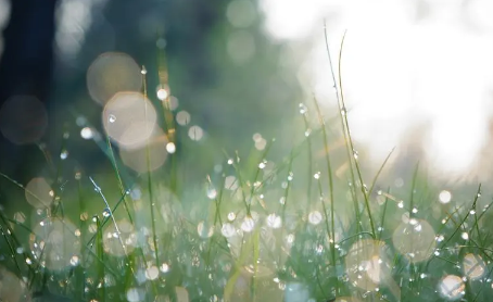 白露过后还热吗(今年白露了为什么还这么热)