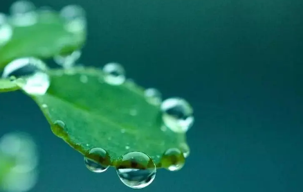 白露过后还热吗(今年白露了为什么还这么热)