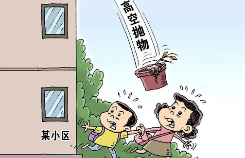 业主高空抛物物业公司承担什么责任(高空抛物物业有什么责任)