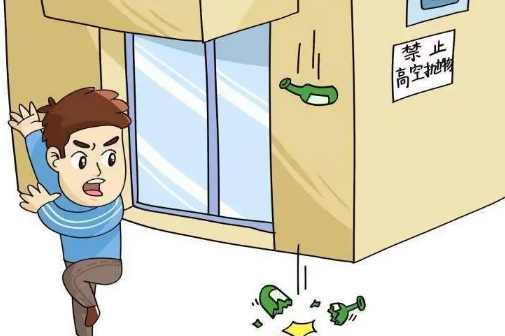 业主高空抛物物业公司承担什么责任(高空抛物物业有什么责任)