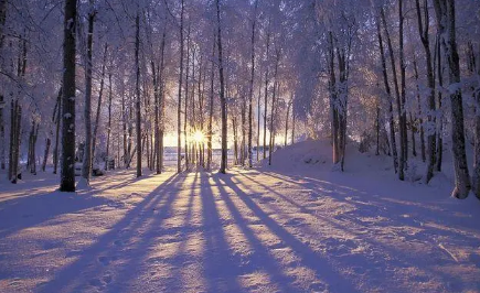 2020年的冬天是暖冬还是冷冬啊(今年冬天是暖冬还是冷冬2020)