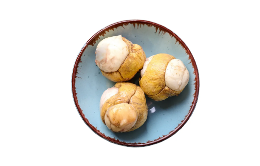 活珠子要煮多长时间可以吃(活珠子要煮多长时间)