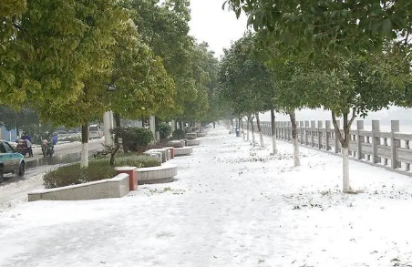 拉尼娜来了 今年会是“极寒之冬”吗?(拉尼娜 冬天)