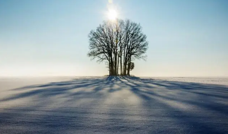 拉尼娜来了 今年会是“极寒之冬”吗?(拉尼娜 冬天)